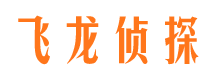 小金市侦探公司